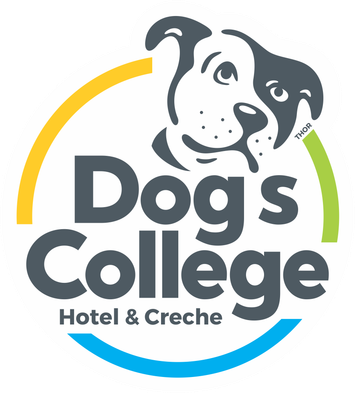 Dog's College Hotel & Creche